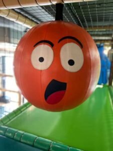 FB_IMG_1740507004343